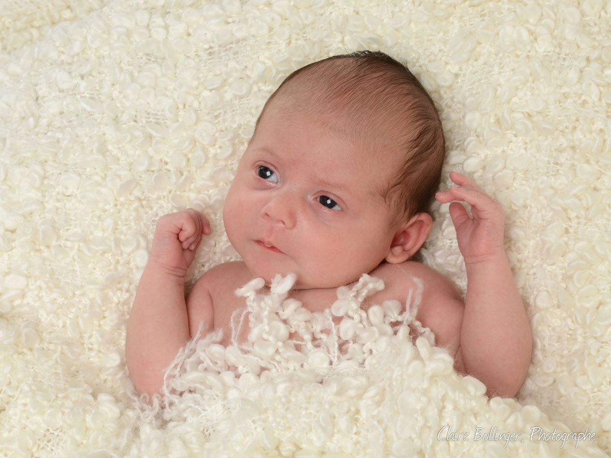 Photo de bébé à Colmar