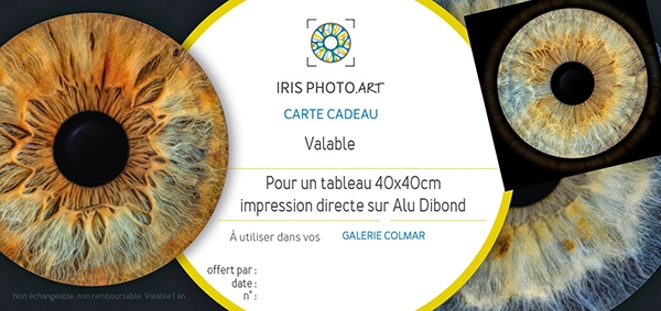 chèque cadeau iris photo avec tableau 40x40