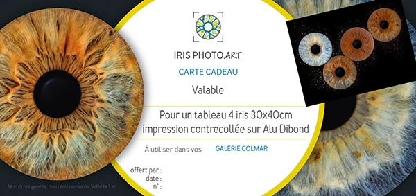 chèque cadeau iris photo quattro