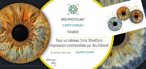 chèque cadeau iris photo trio