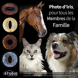 Iris photo existe aussi pour les animaux